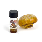 Teurfs • Amber Honeycomb Spinner Cap